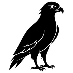 Buzzard vector clean black silhouette design white background