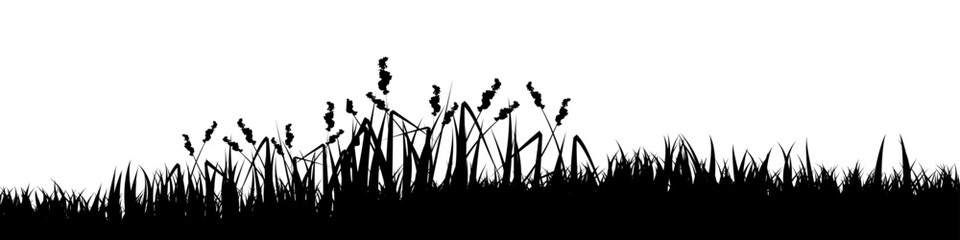 Fototapeta premium Meadow silhouette with grass, plants on plain. Panoramic summer lawn landscape with herbs, various weeds. Herbal border, frame element. Black horizontal banners. Vector illustration