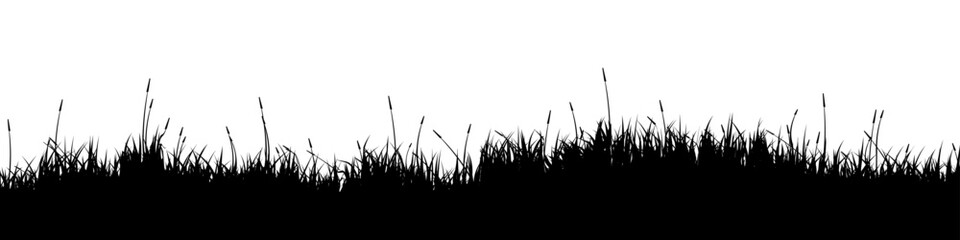 Fototapeta premium Meadow silhouette with grass, plants on plain. Panoramic summer lawn landscape with herbs, various weeds. Herbal border, frame element. Black horizontal banners. Vector illustration