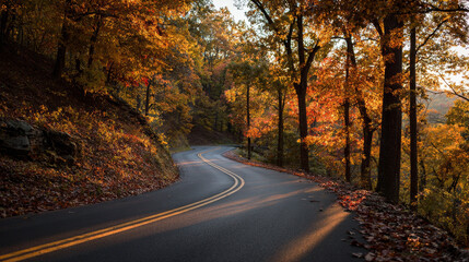 road in autumn with colourful yellow trees