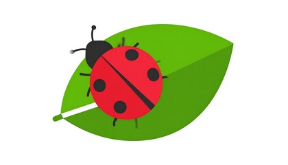 Cartoon ladybug with black spots sitting atop a green leaf on a white background