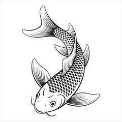 Hand drawn koi fish illustration in black and white for tattoo or design