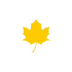 yellow maple leaf