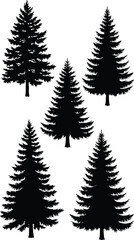 Fototapeta premium Collection of evergreen tree silhouettes isolated on white background