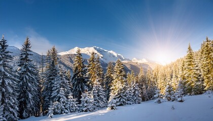 Obraz premium Snowy Evergreen Forest Scene With Sunlight And Mountains In Background