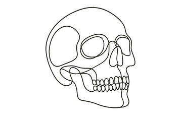 Fototapeta premium Simple black line drawing of human skull side view on white background