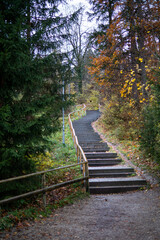 Forest path stairway in autumn woods