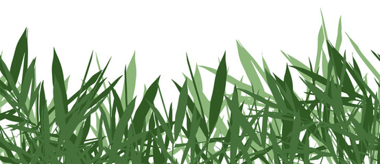 Bamboo summer banner. Clip art, basis element on white background