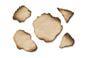 Burnt paper fragments with scorched edges, old aged distressed texture on transparent background