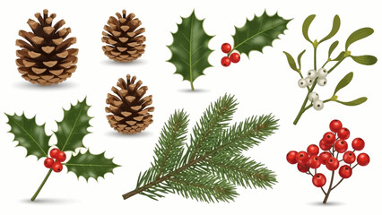 A realistic collection of traditional winter and Christmas plants including pine cones, holly, mistletoe, and fir branches.