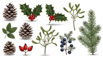 A collection of winter and Christmas botanical elements including pine cones, holly, mistletoe, juniper, rose hips, and fir branches.