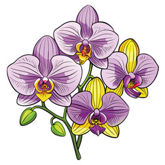 Beautiful purple and yellow orchid flower drawing for illustration