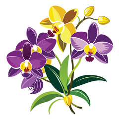 Beautiful white, yellow and purple orchid flowers