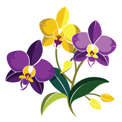 Beautiful yellow and purple orchid flowers on a white background.