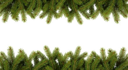 Christmas fir tree branches forming a festive holiday border on a clean white background with copy space