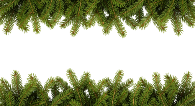 Christmas fir tree branches forming a festive holiday border on a clean white background with copy space