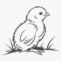 Adorable hand drawn chick sitting in grass illustration