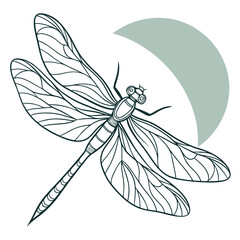 Elegant dragonfly illustration with crescent moon accent
