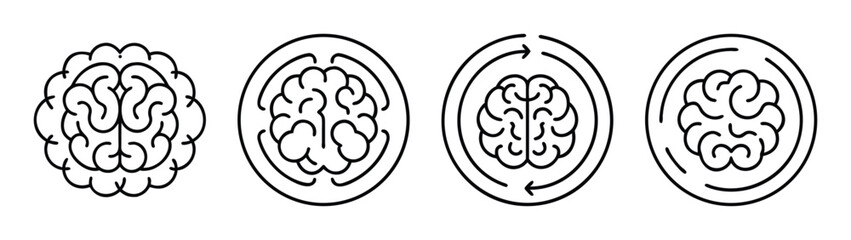 Understanding brain function and mental processes a visual representation of brain evolution and thinking