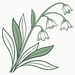 Stylized lily of the valley flowers and leaves