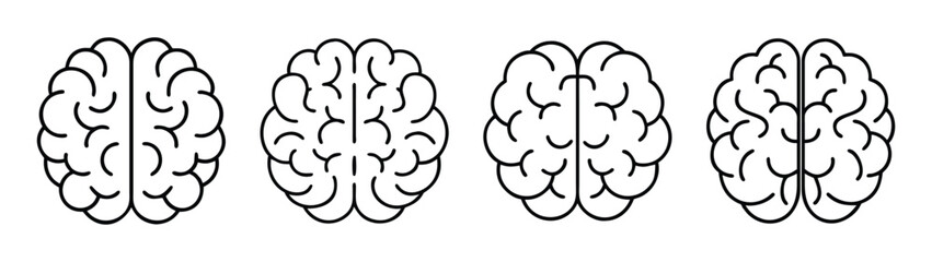 Human brain anatomy illustration for medical education and neuroscience research study guide