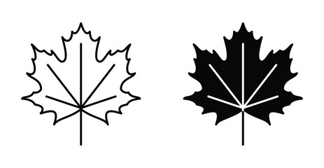 Maple leaf icon graphic design. Vector icon illustrations