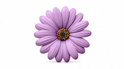 Top-Angle Purple Daisy Flat Illustration with Copy Space for Social Post & Web Banner