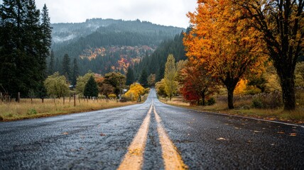 Scenic winding road through vibrant autumn forest in oregon with colorful fall foliage, golden leaves covering the roadside, and soft sunlight filtering through trees creating a peaceful natural lands