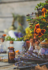 Medicinal herbs and tinctures homeopathy. Selective focus.