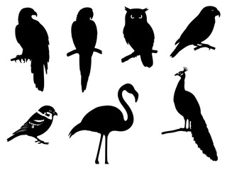 Diverse Avian Silhouettes Captivating Collection of Bird Species in Black Against White Background