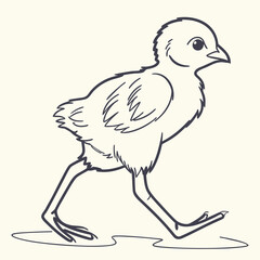 Cute line art illustration of a baby bird walking