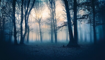 Fototapeta premium Haunted Forest With Fog At Dusk Analogue Vintage Toning