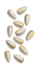 Isolated sunflower seeds on white background for healthy eating concept