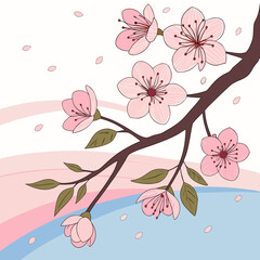 Cherry blossom branch with pink flowers and petals on a