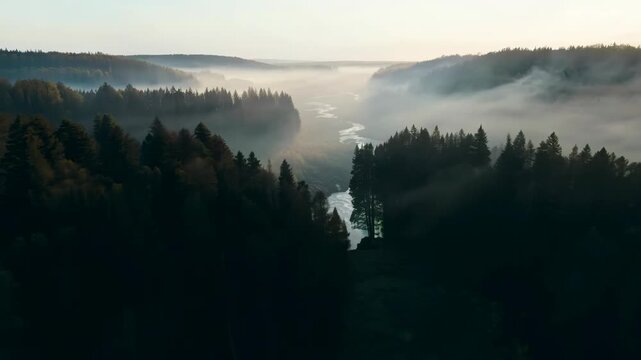 Misty dawn envelops a tranquil forest valley with a winding river. dense trees create a silhouette against the rising sun, while soft fog drifts over the landscape, merging the sky and earth in a sere