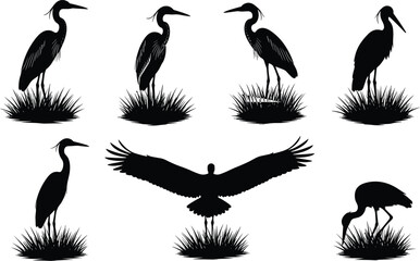 Naklejka premium Silhouette set of heron birds standing in grass and flying, wading bird vector illustration collection for nature, wildlife, and marshland design.