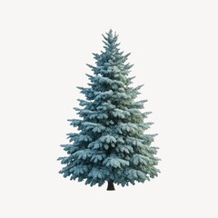 Realistic snowy evergreen tree
