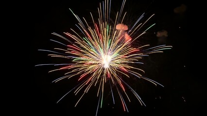 Vibrant firework bursts against a black night sky, showcasing colorful explosions