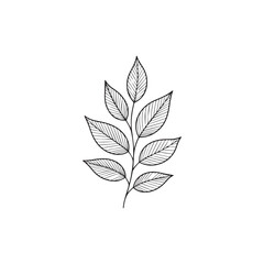 Minimalist botanical leaf line art