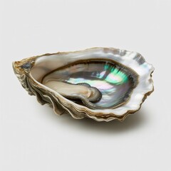Elegant oyster shimmers with iridescent colors, evoking luxury, fine dining, and coastal living in a stunning, natural, and captivating presentation
