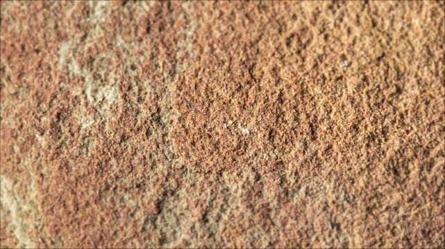 A vibrant, rough close-up texture of natural sandstone or a clay wall, showcasing rich earthy tones of red, brown, and hints of yellow, ideal for backgrounds
