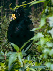 台北市立動物園