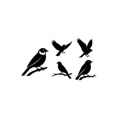 Fototapeta premium Bird silhouettes collection