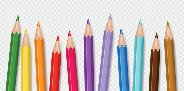 Realistic 3d color pencils. Abstract wooden pencil group for children art or school education background. Isolated crayon in rainbow spectrum, creative drawing, artistic palette. Isolated vector set