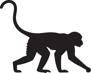 Black silhouette of a spider monkey walking on a white background primate animal on transparent background