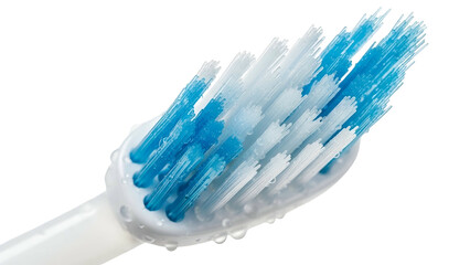 Extreme closeup of a toothbrush head with blue and white bristles against a black background