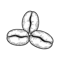 Obraz premium Hand-Drawn Coffee Beans: Rich Aroma, Authentic Taste, Perfect for Cafe Branding, Coffee Shop Menus, and Gourmet Packaging Designs. Vector Origin
