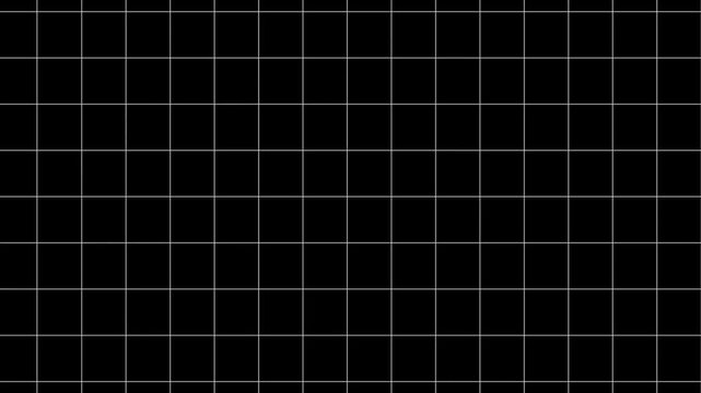 A black background with a white grid pattern forming squares across the entire visual field evenly spaced