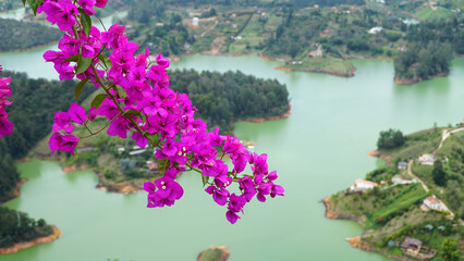 Guatape Town from La Piedra, Medellin, Colombia