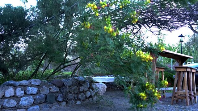 Escena r&uacute;stica en un entorno natural de finca vitivin&iacute;cola, con vegetaci&oacute;n aut&oacute;ctona, muros de piedra y mobiliario de madera iluminado por luz suave.